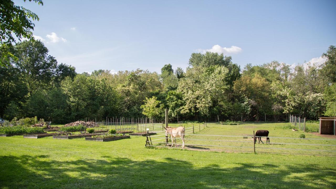 La Collina Delle Mignole Villa Moruzzo Exteriör bild